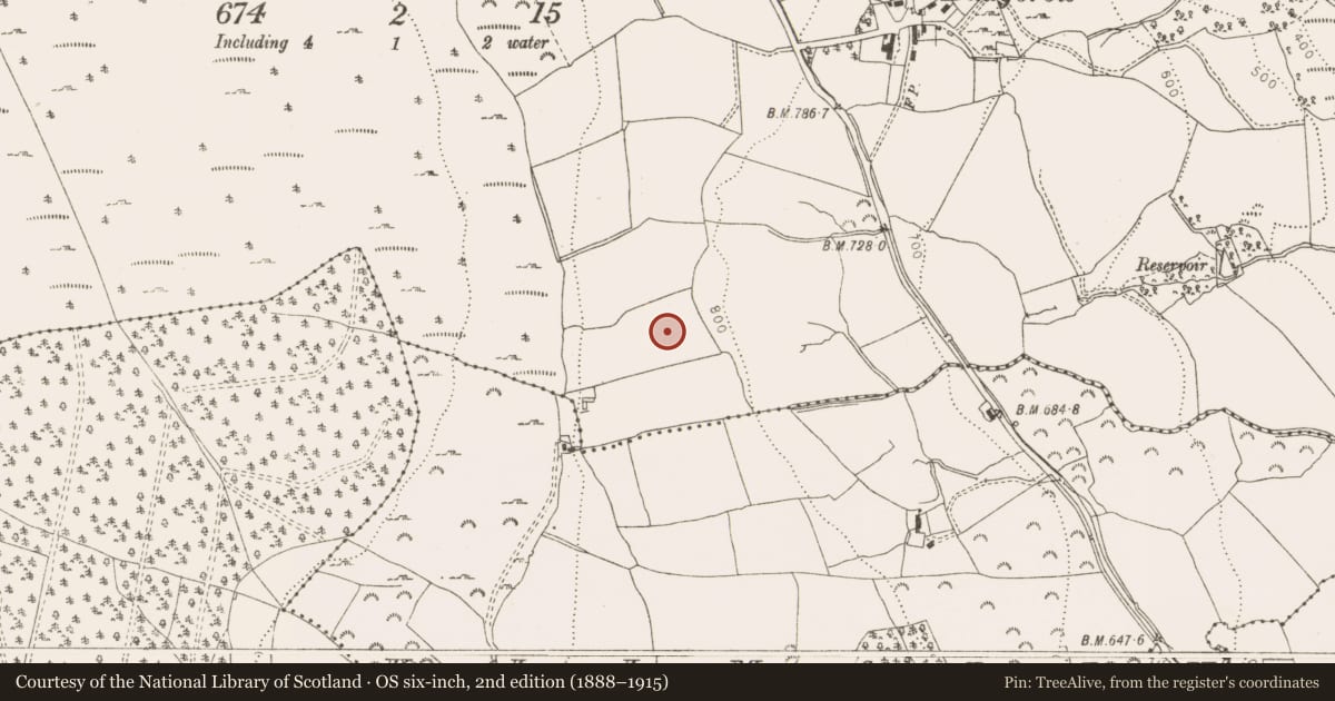 Ordnance Survey six-inch map, 2nd edition (1888–1915) covering the location of Enclosure, Ballybrew, County Wicklow, with a pin at the register's coordinates