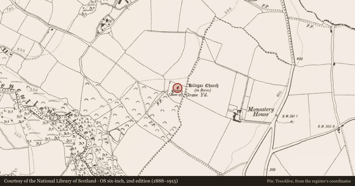 Ordnance Survey six-inch map, 2nd edition (1888–1915) covering the location of Cross-slab, Killegar, County Wicklow, with a pin at the register's coordinates