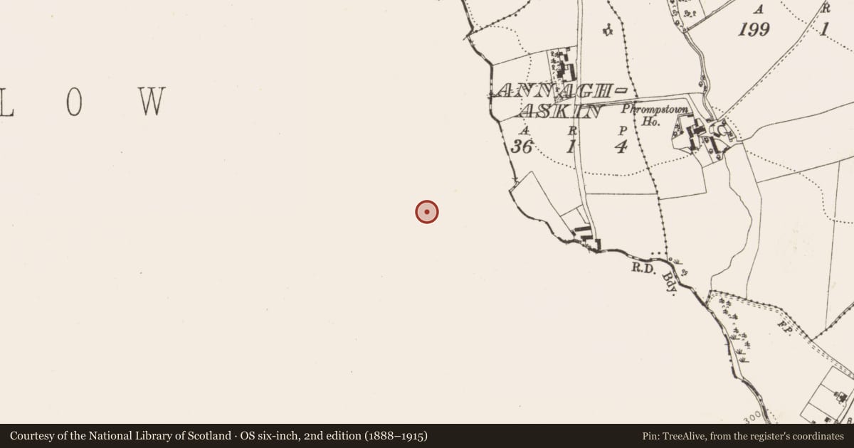 Ordnance Survey six-inch map, 2nd edition (1888–1915) covering the location of Enclosure, Killegar, County Wicklow, with a pin at the register's coordinates