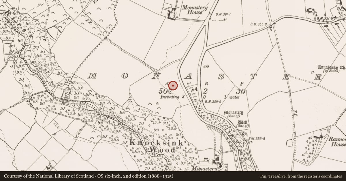 Ordnance Survey six-inch map, 2nd edition (1888–1915) covering the location of Mound, Monastery, County Wicklow, with a pin at the register's coordinates