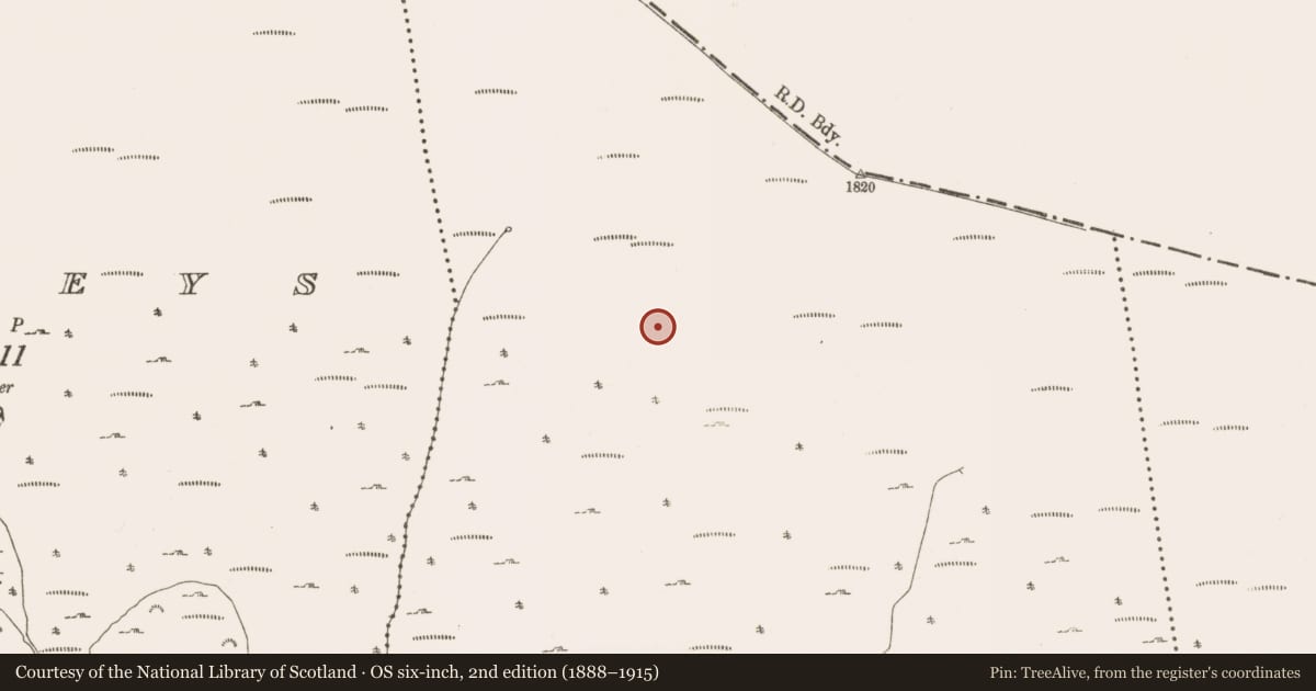 Ordnance Survey six-inch map, 2nd edition (1888–1915) covering the location of Mass-rock, Oldboleys, County Wicklow, with a pin at the register's coordinates