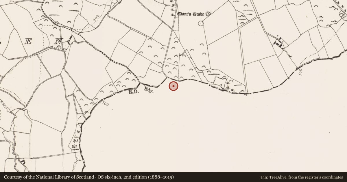 Ordnance Survey six-inch map, 2nd edition (1888–1915) covering the location of Enclosure, Killegar, County Wicklow, with a pin at the register's coordinates