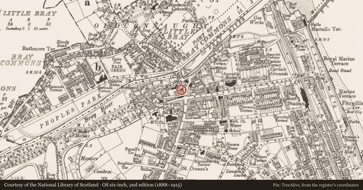 Ordnance Survey six-inch map, 2nd edition (1888–1915) covering the location of Historic town, County Wicklow, with a pin at the register's coordinates