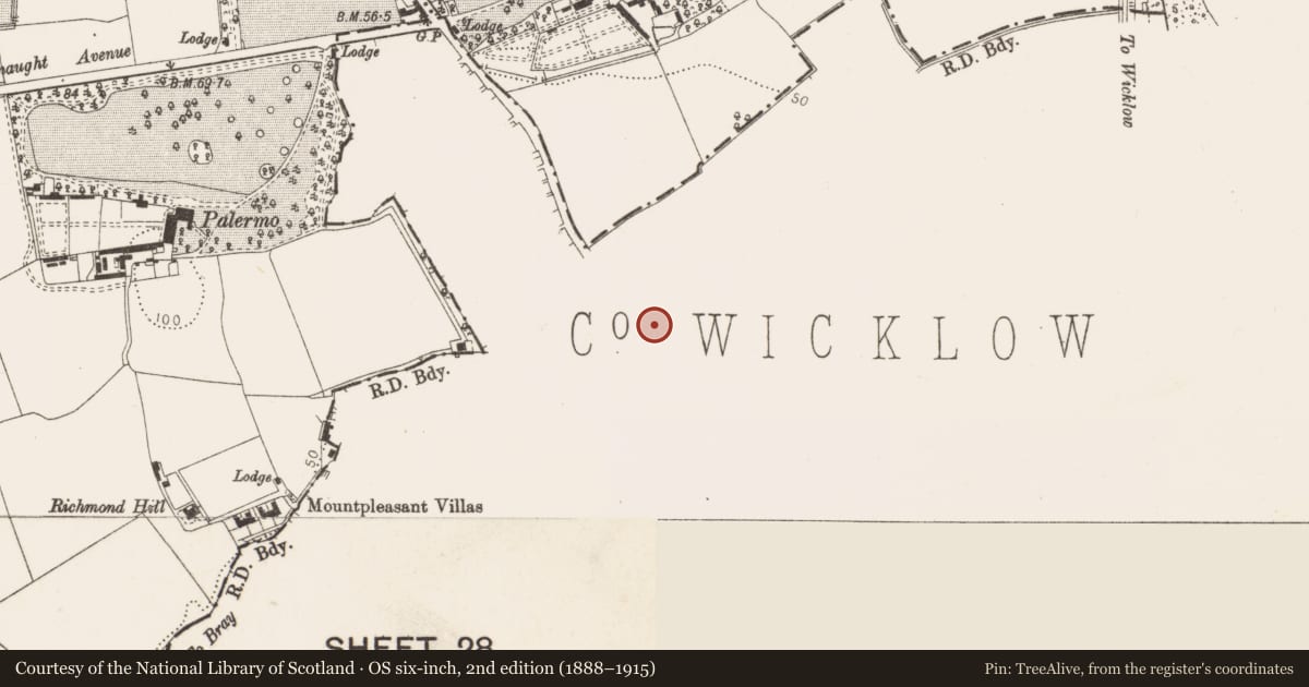 Ordnance Survey six-inch map, 2nd edition (1888–1915) covering the location of Cross-slab, Bray, County Wicklow, with a pin at the register's coordinates