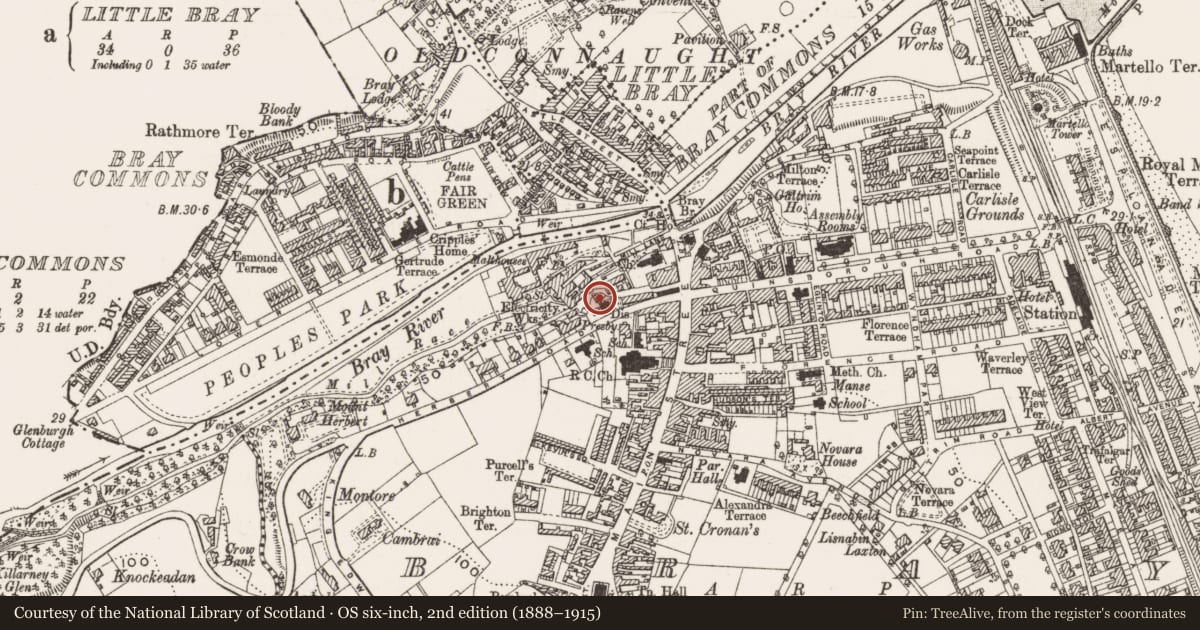 Ordnance Survey six-inch map, 2nd edition (1888–1915) covering the location of Castle - unclassified, Bray, County Wicklow, with a pin at the register's coordinates