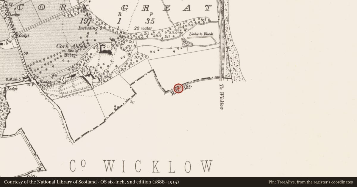 Ordnance Survey six-inch map, 2nd edition (1888–1915) covering the location of Linear earthwork, Ravenswell, County Wicklow, with a pin at the register's coordinates