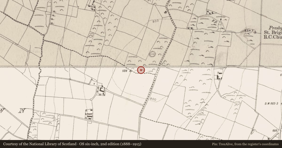 Ordnance Survey six-inch map, 2nd edition (1888–1915) covering the location of Cairn - unclassified, Goldenhill, County Wicklow, with a pin at the register's coordinates