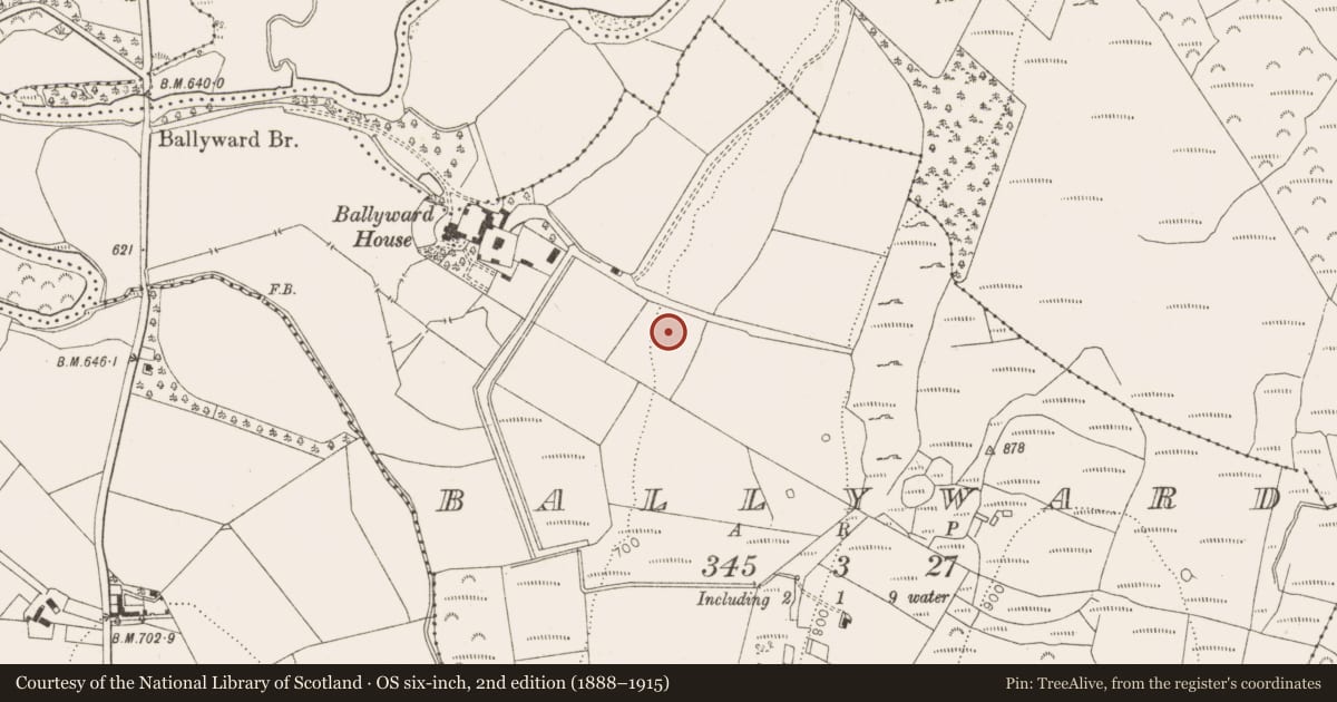 Ordnance Survey six-inch map, 2nd edition (1888–1915) covering the location of Enclosure, Ballyward, County Wicklow, with a pin at the register's coordinates