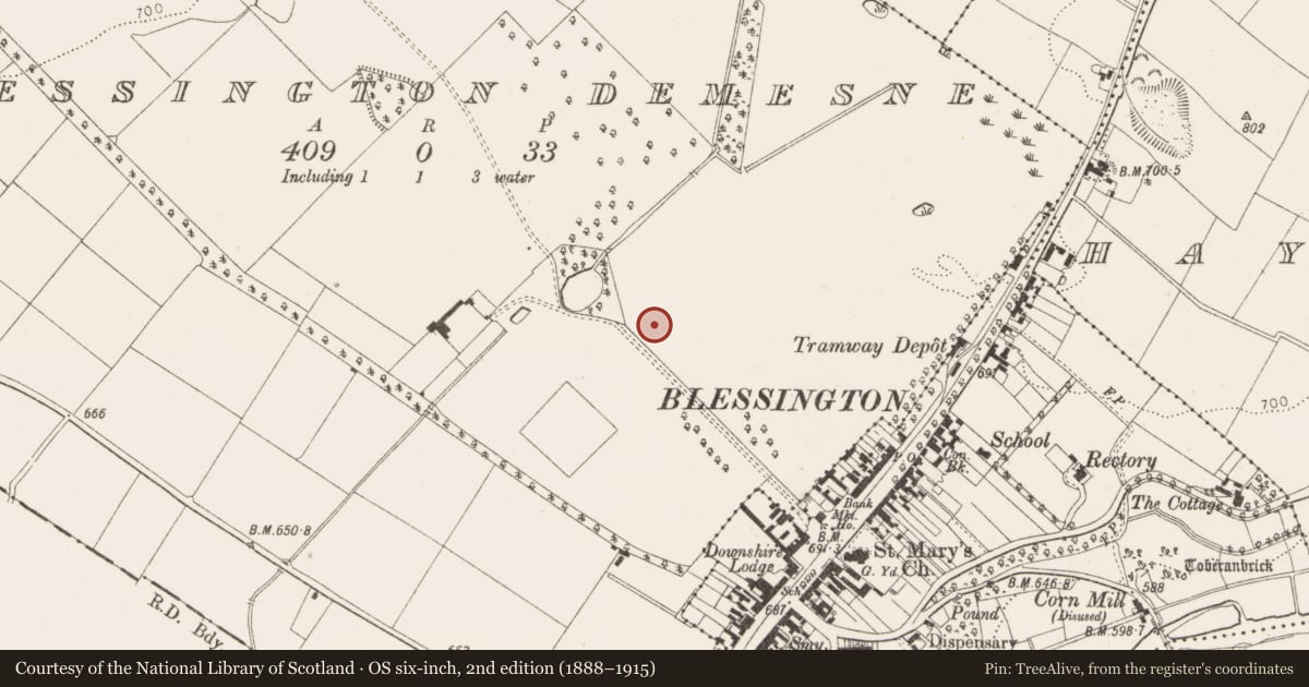 Ordnance Survey six-inch map, 2nd edition (1888–1915) covering the location of Habitation site, Blessington Demesne, County Wicklow, with a pin at the register's coordinates