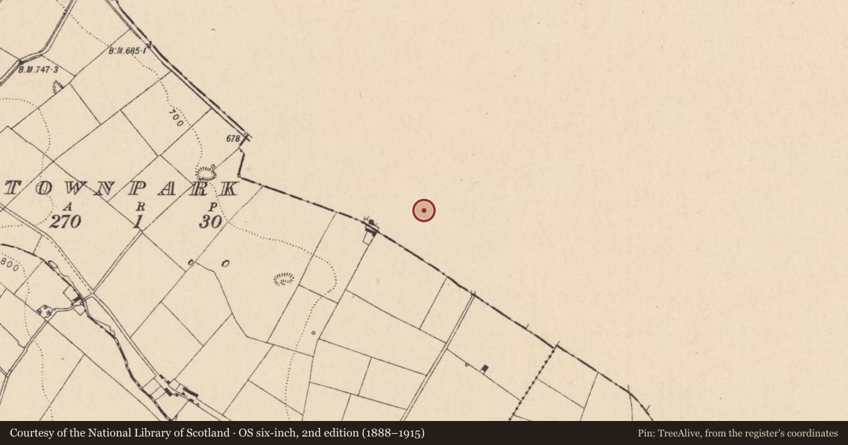 Ordnance Survey six-inch map, 2nd edition (1888–1915) covering the location of Stone circle, Blessington Demesne, County Wicklow, with a pin at the register's coordinates