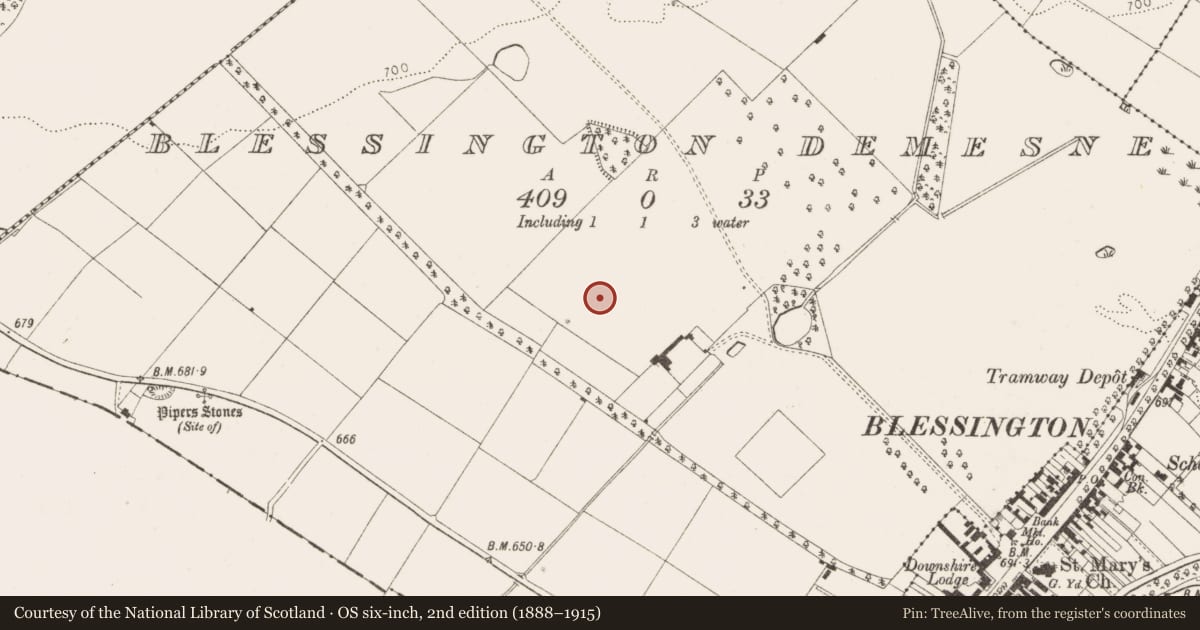 Ordnance Survey six-inch map, 2nd edition (1888–1915) covering the location of Designed landscape - ornamental lake, Blessington Demesne, County Wicklow, with a pin at the register's coordinates