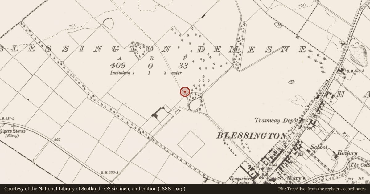 Ordnance Survey six-inch map, 2nd edition (1888–1915) covering the location of House - 16th/17th century, Blessington Demesne, County Wicklow, with a pin at the register's coordinates