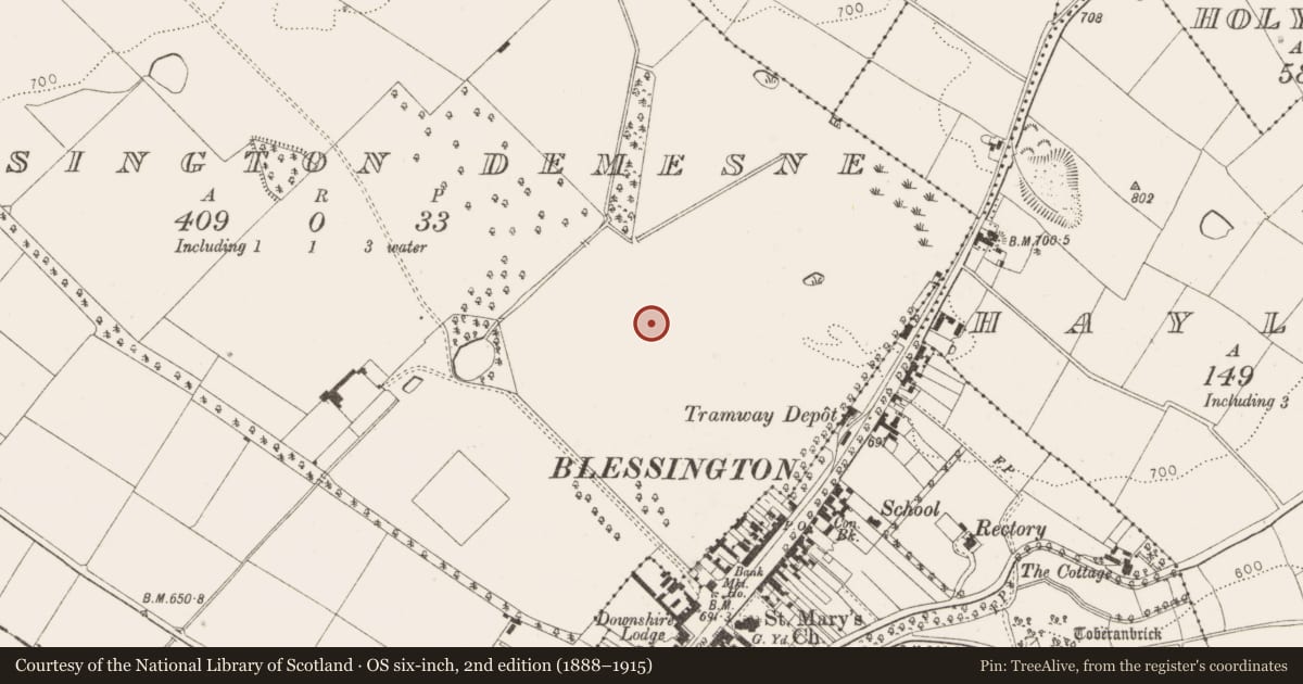 Ordnance Survey six-inch map, 2nd edition (1888–1915) covering the location of Barrow - unclassified, Blessington Demesne, County Wicklow, with a pin at the register's coordinates