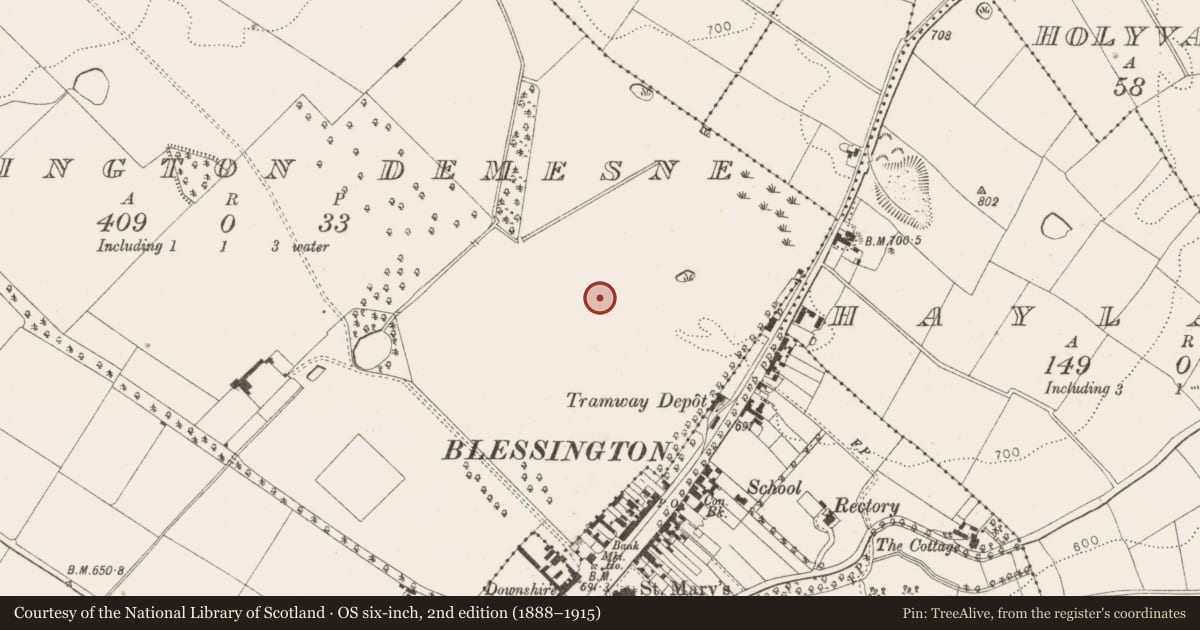Ordnance Survey six-inch map, 2nd edition (1888–1915) covering the location of Designed landscape feature, Blessington Demesne, County Wicklow, with a pin at the register's coordinates