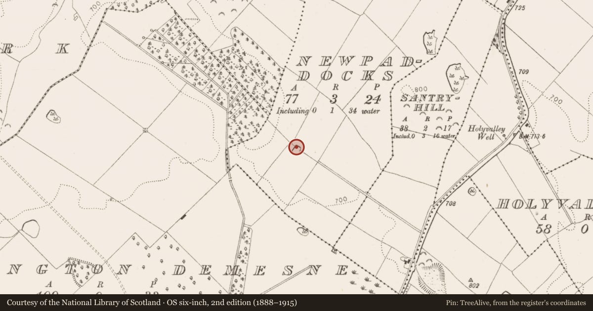 Ordnance Survey six-inch map, 2nd edition (1888–1915) covering the location of Enclosure, Newpaddocks, County Wicklow, with a pin at the register's coordinates