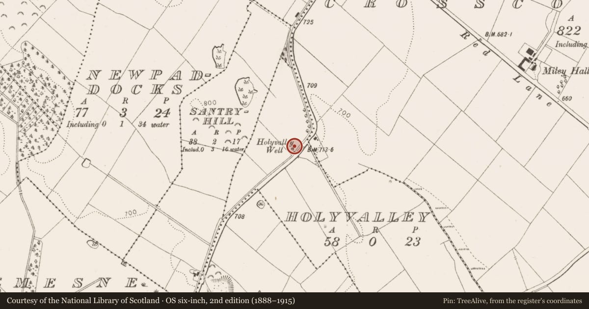 Ordnance Survey six-inch map, 2nd edition (1888–1915) covering the location of Ritual site - holy well, Holyvalley, County Wicklow, with a pin at the register's coordinates
