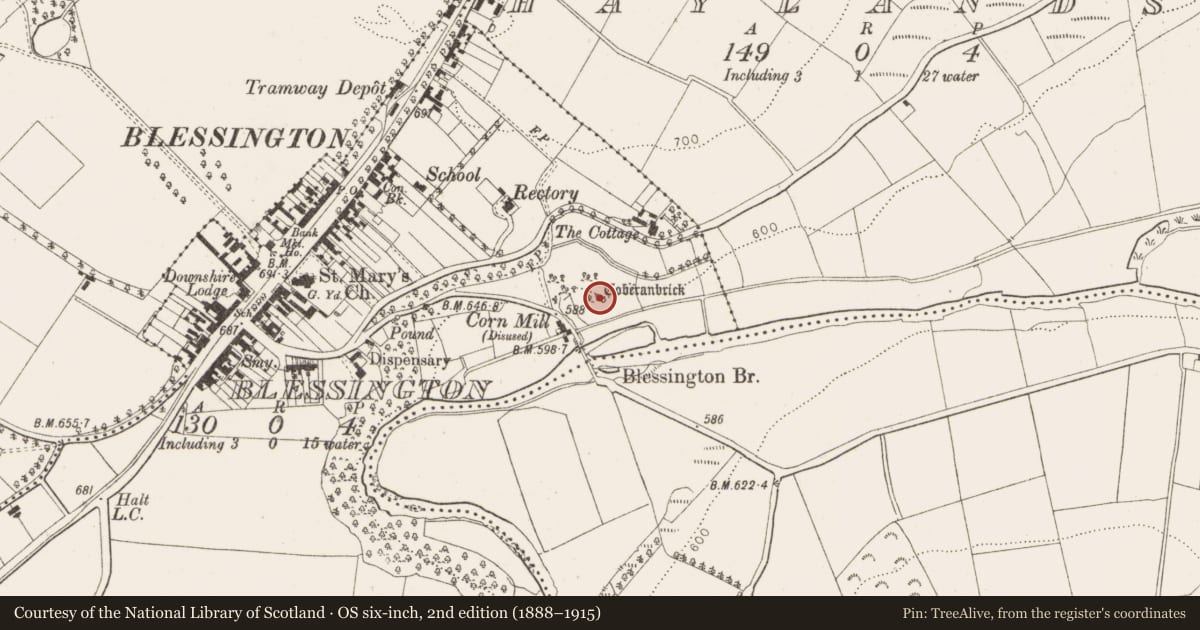 Ordnance Survey six-inch map, 2nd edition (1888–1915) covering the location of Ritual site - holy well, Blessington, County Wicklow, with a pin at the register's coordinates