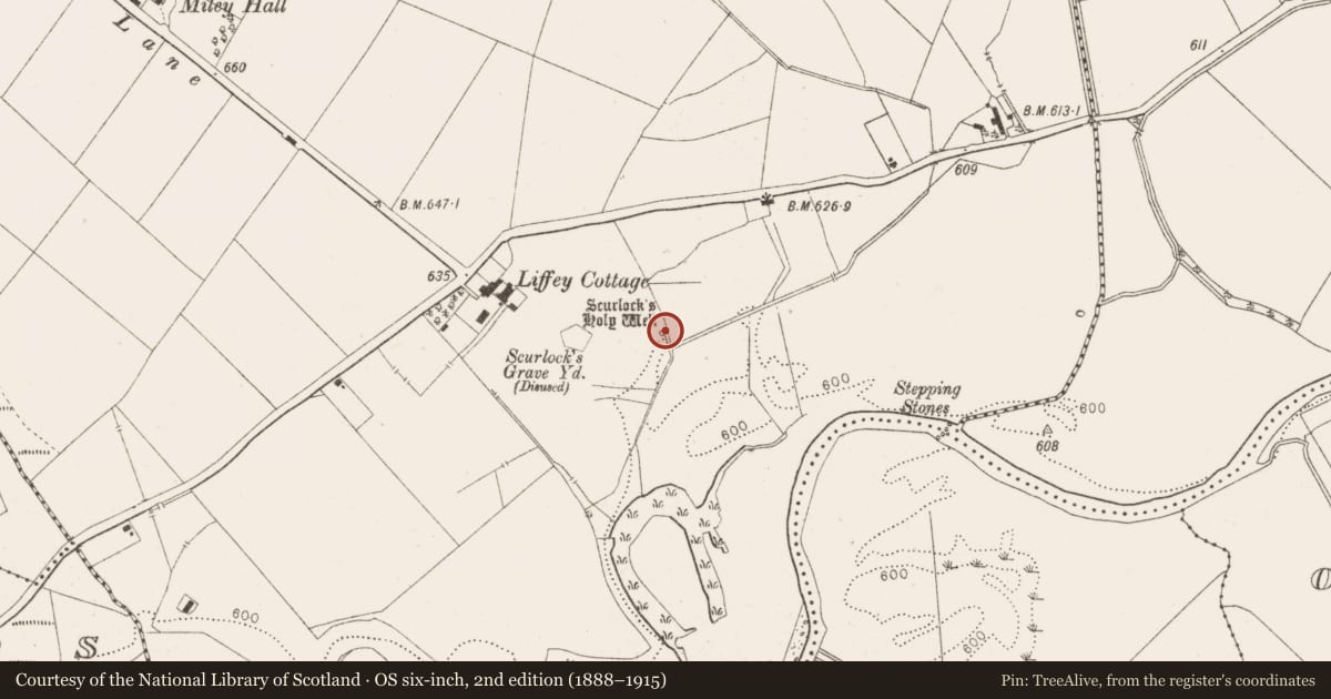 Ordnance Survey six-inch map, 2nd edition (1888–1915) covering the location of Ritual site - holy well, Crosscoolharbour, County Wicklow, with a pin at the register's coordinates