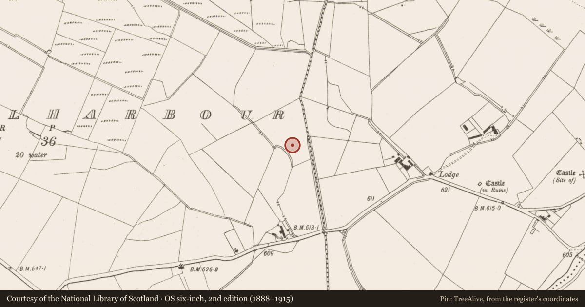 Ordnance Survey six-inch map, 2nd edition (1888–1915) covering the location of Enclosure, Crosscoolharbour, County Wicklow, with a pin at the register's coordinates