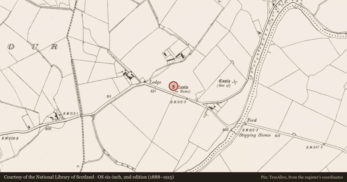 Ordnance Survey six-inch map, 2nd edition (1888–1915) covering the location of Castle - tower house, Threecastles, County Wicklow, with a pin at the register's coordinates