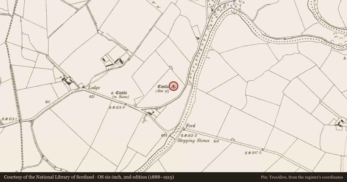 Ordnance Survey six-inch map, 2nd edition (1888–1915) covering the location of Castle - unclassified, Threecastles, County Wicklow, with a pin at the register's coordinates