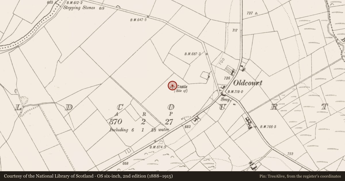 Ordnance Survey six-inch map, 2nd edition (1888–1915) covering the location of Castle - unclassified, Oldcourt, County Wicklow, with a pin at the register's coordinates