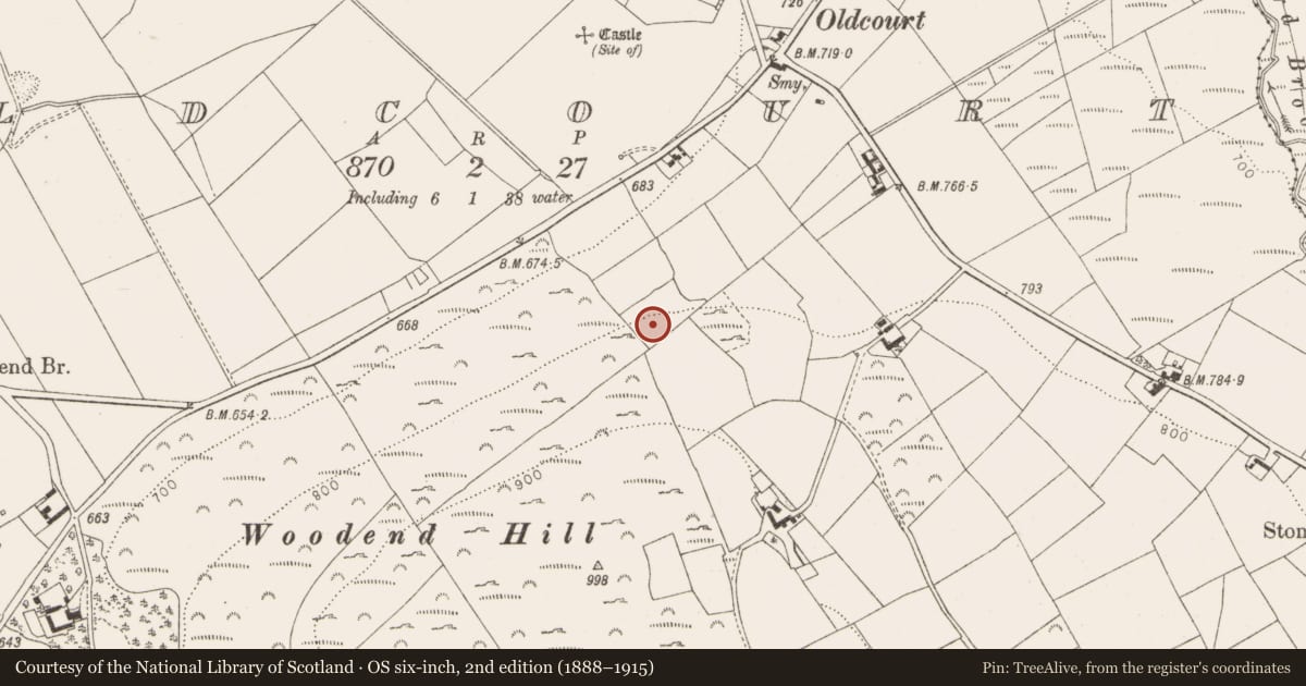 Ordnance Survey six-inch map, 2nd edition (1888–1915) covering the location of Hut site, Oldcourt, County Wicklow, with a pin at the register's coordinates