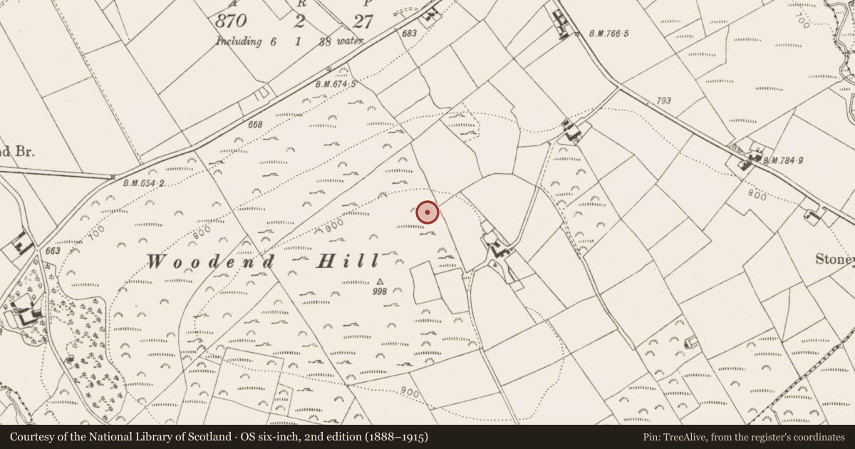 Ordnance Survey six-inch map, 2nd edition (1888–1915) covering the location of Enclosure, Oldcourt, County Wicklow, with a pin at the register's coordinates