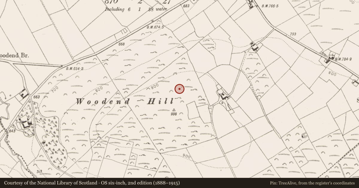 Ordnance Survey six-inch map, 2nd edition (1888–1915) covering the location of Hut site, Oldcourt, County Wicklow, with a pin at the register's coordinates