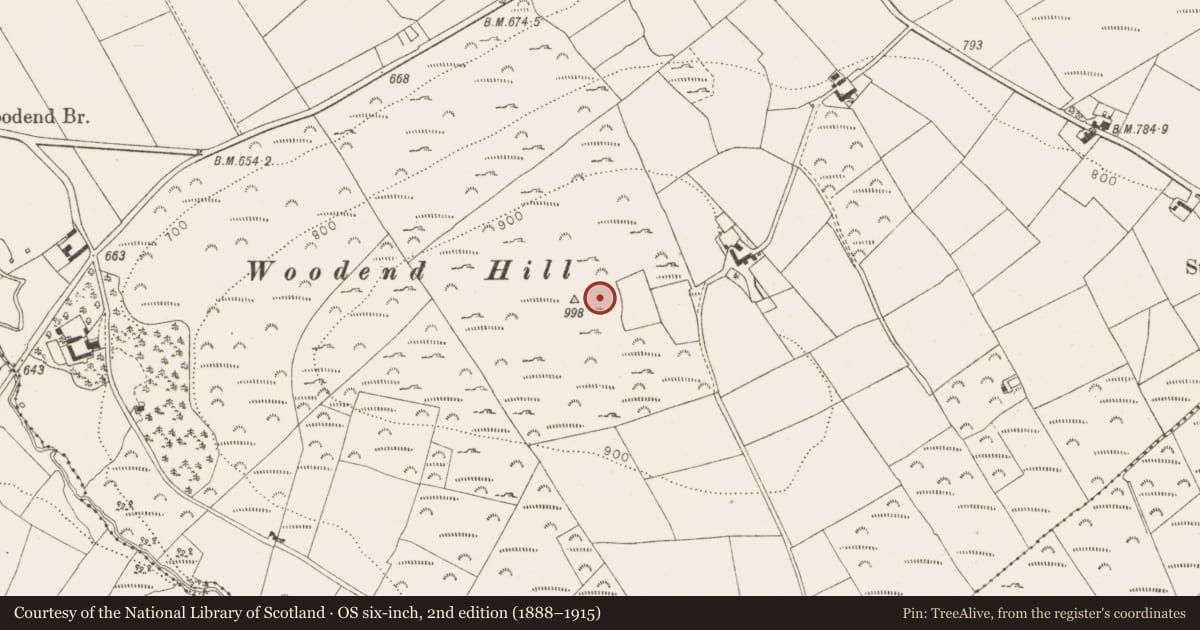 Ordnance Survey six-inch map, 2nd edition (1888–1915) covering the location of Hilltop enclosure, Oldcourt, County Wicklow, with a pin at the register's coordinates