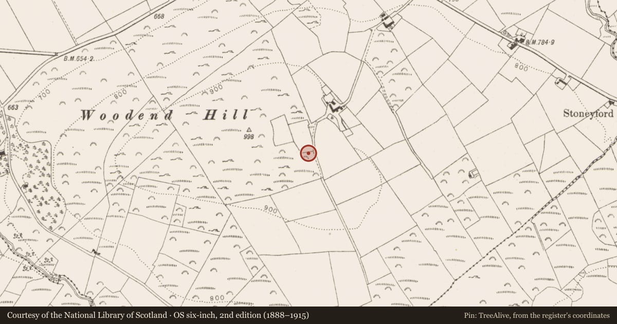 Ordnance Survey six-inch map, 2nd edition (1888–1915) covering the location of Enclosure, Oldcourt, County Wicklow, with a pin at the register's coordinates