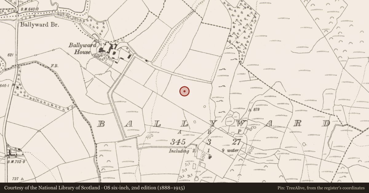 Ordnance Survey six-inch map, 2nd edition (1888–1915) covering the location of Designed landscape - tree-ring, Ballyward, County Wicklow, with a pin at the register's coordinates