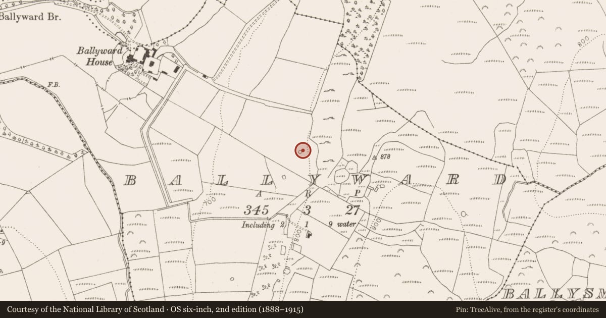Ordnance Survey six-inch map, 2nd edition (1888–1915) covering the location of Designed landscape - tree-ring, Ballyward, County Wicklow, with a pin at the register's coordinates