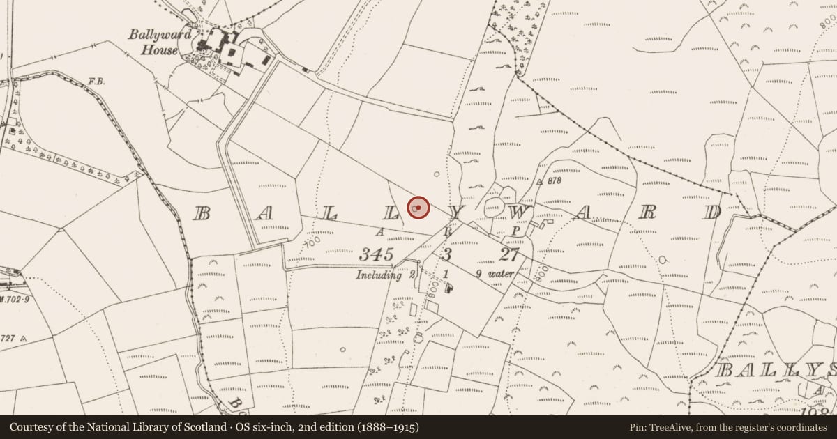 Ordnance Survey six-inch map, 2nd edition (1888–1915) covering the location of Designed landscape - tree-ring, Ballyward, County Wicklow, with a pin at the register's coordinates