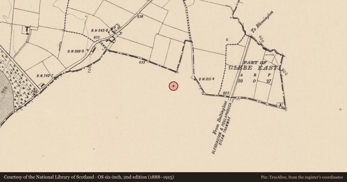 Ordnance Survey six-inch map, 2nd edition (1888–1915) covering the location of Enclosure, Glashina, County Wicklow, with a pin at the register's coordinates