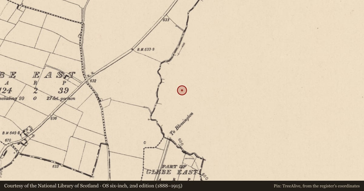 Ordnance Survey six-inch map, 2nd edition (1888–1915) covering the location of Enclosure, Burgage More, County Wicklow, with a pin at the register's coordinates