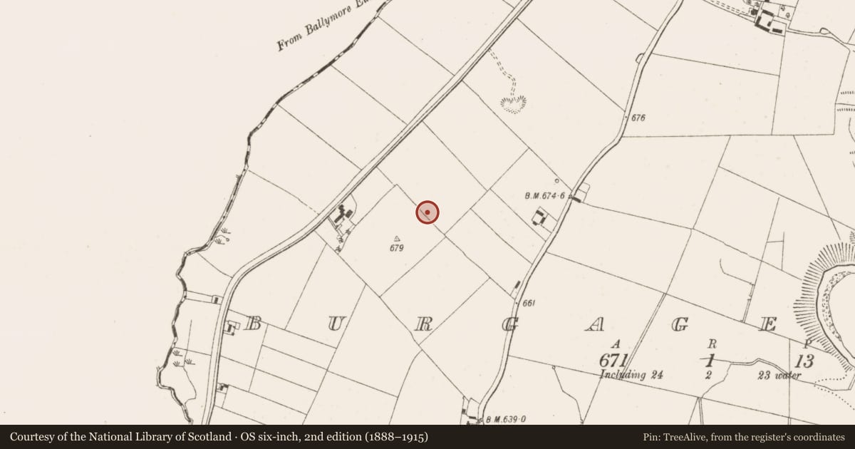 Ordnance Survey six-inch map, 2nd edition (1888–1915) covering the location of Mound, Burgage More, County Wicklow, with a pin at the register's coordinates