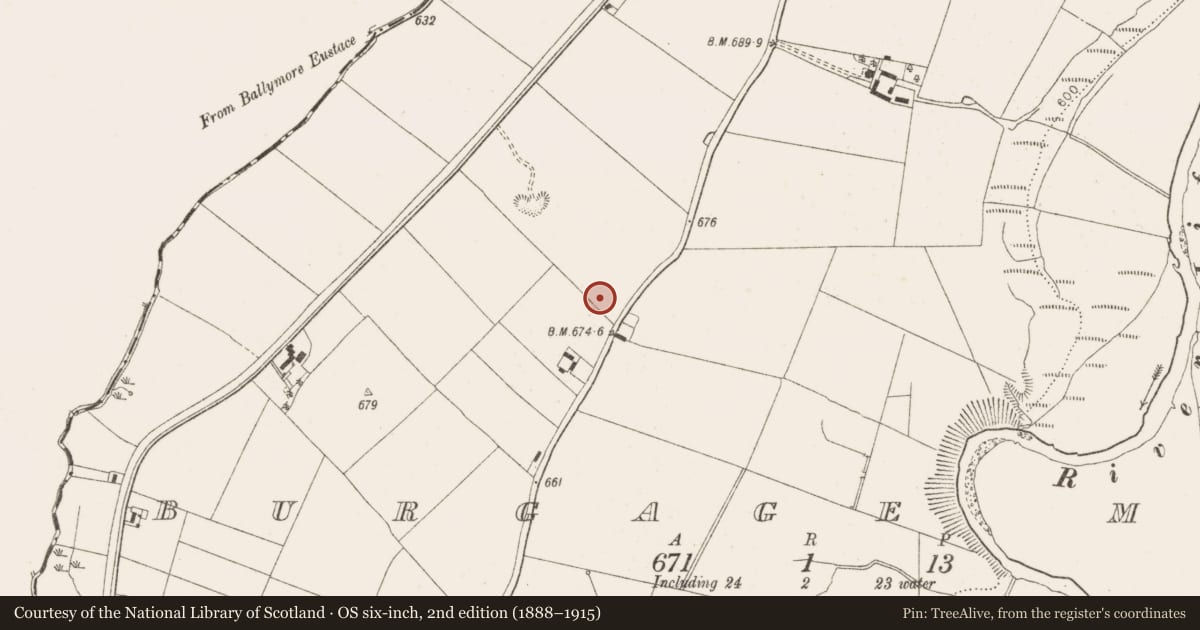 Ordnance Survey six-inch map, 2nd edition (1888–1915) covering the location of Cross - High cross (present location), Burgage More, County Wicklow, with a pin at the register's coordinates
