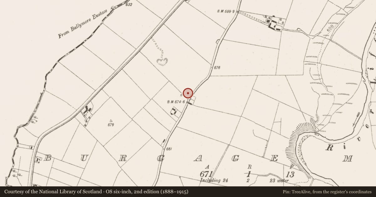 Ordnance Survey six-inch map, 2nd edition (1888–1915) covering the location of Cross - High cross (present location), Burgage More, County Wicklow, with a pin at the register's coordinates