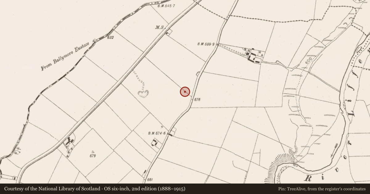 Ordnance Survey six-inch map, 2nd edition (1888–1915) covering the location of Graveslab (present location), Burgage More, County Wicklow, with a pin at the register's coordinates
