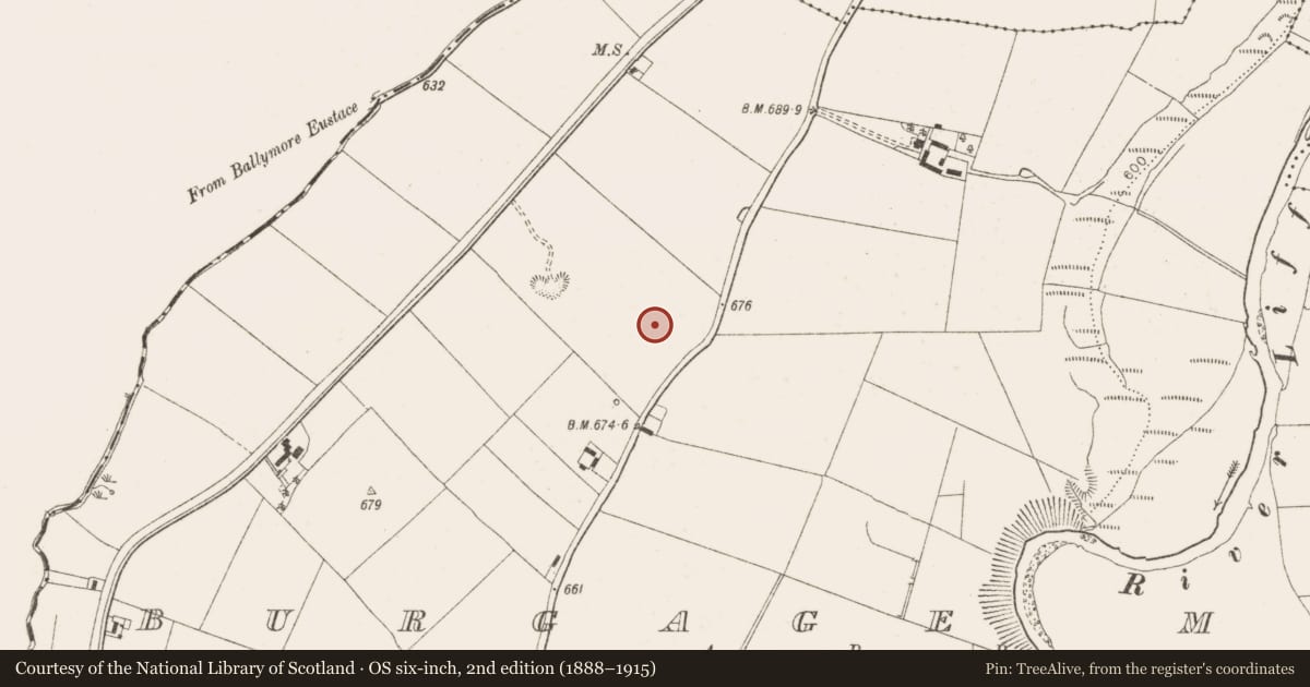Ordnance Survey six-inch map, 2nd edition (1888–1915) covering the location of Graveslab (present location), Burgage More, County Wicklow, with a pin at the register's coordinates