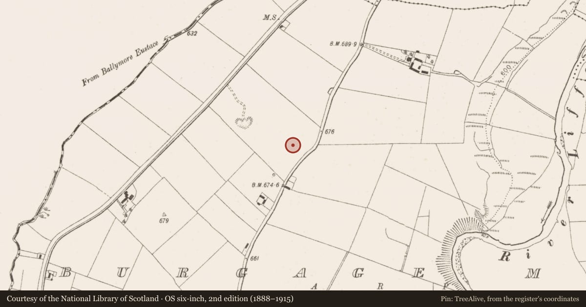 Ordnance Survey six-inch map, 2nd edition (1888–1915) covering the location of Graveslab (present location), Burgage More, County Wicklow, with a pin at the register's coordinates