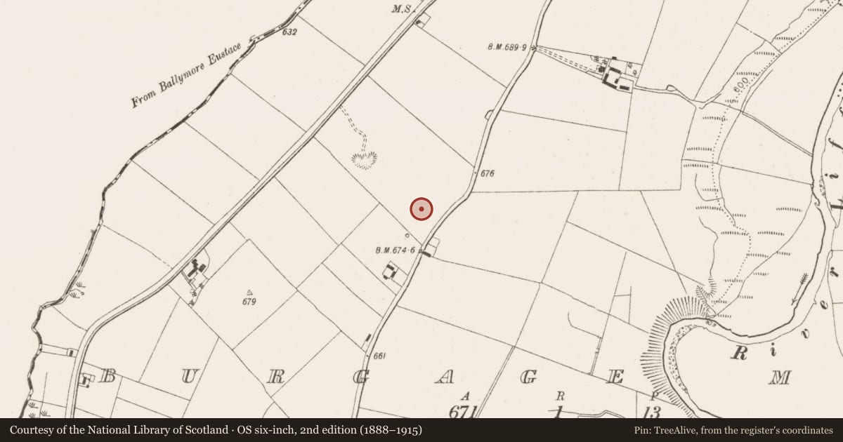 Ordnance Survey six-inch map, 2nd edition (1888–1915) covering the location of Font (present location), Burgage More, County Wicklow, with a pin at the register's coordinates