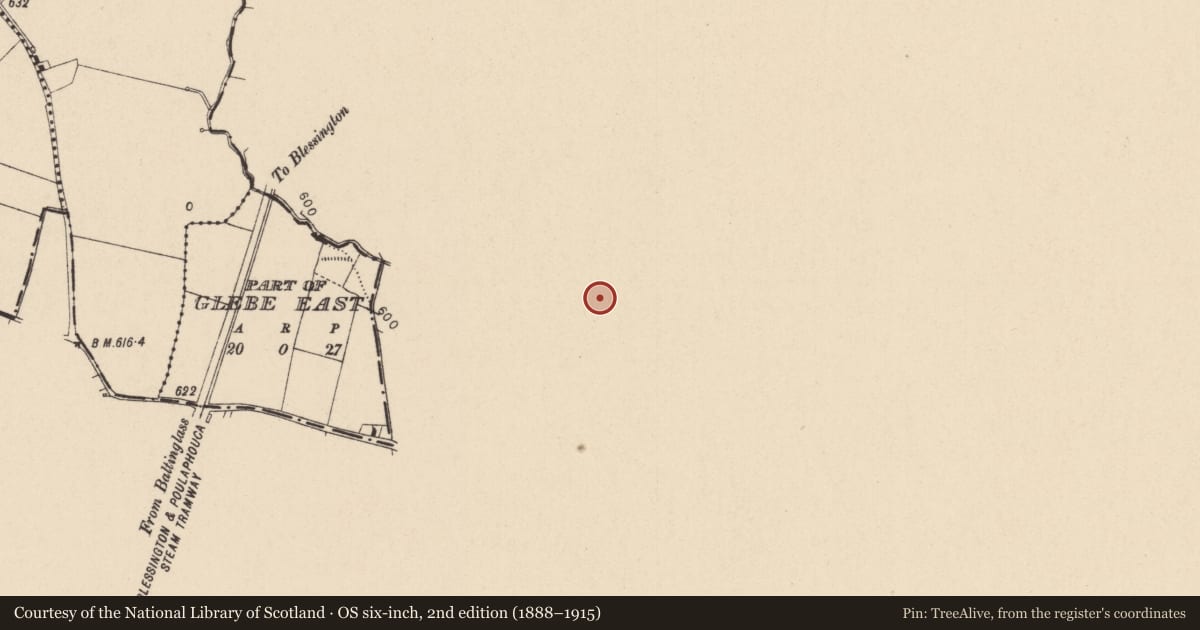 Ordnance Survey six-inch map, 2nd edition (1888–1915) covering the location of Castle - ringwork, Burgage More, County Wicklow, with a pin at the register's coordinates