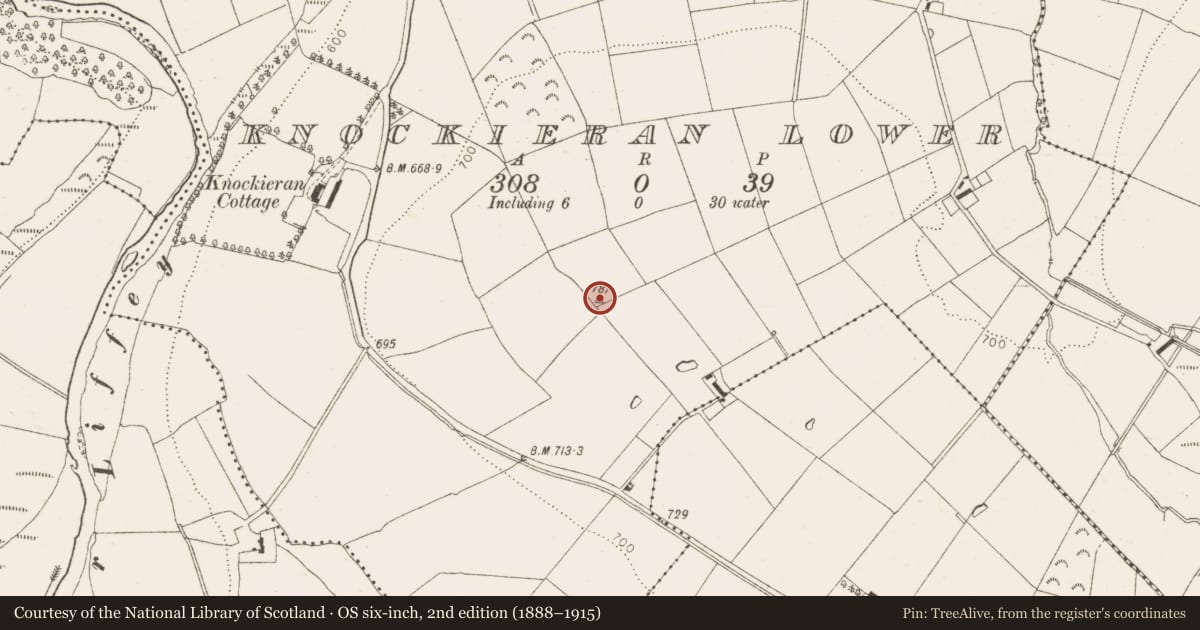 Ordnance Survey six-inch map, 2nd edition (1888–1915) covering the location of Standing stone, Knockieran Lower, County Wicklow, with a pin at the register's coordinates