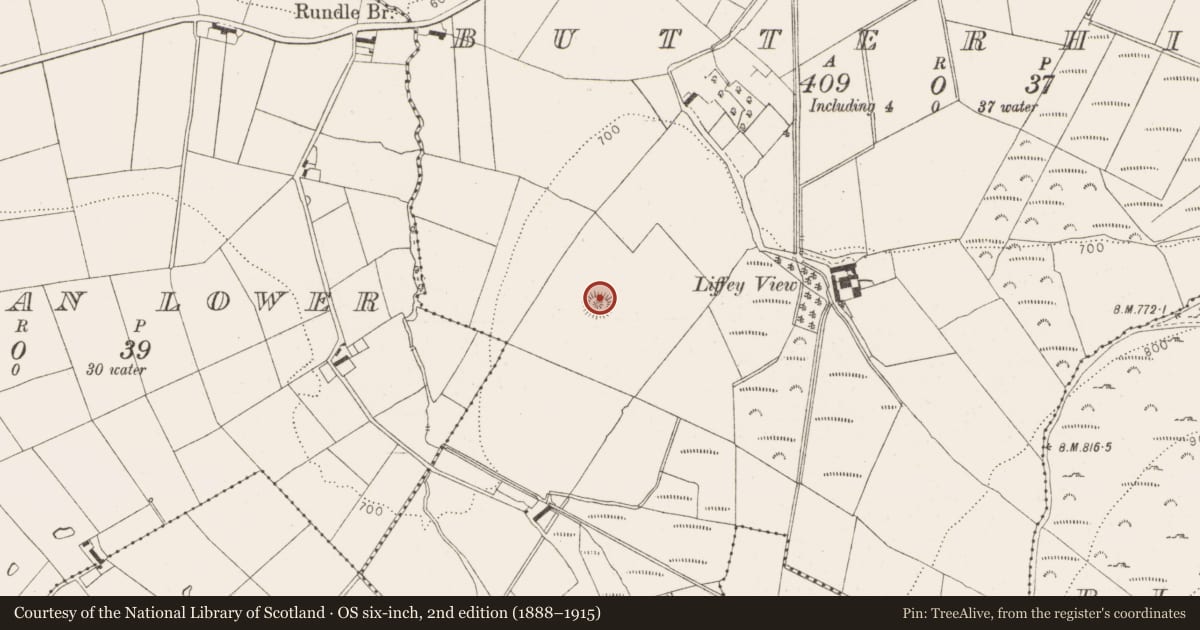 Ordnance Survey six-inch map, 2nd edition (1888–1915) covering the location of Mound, Butterhill, County Wicklow, with a pin at the register's coordinates
