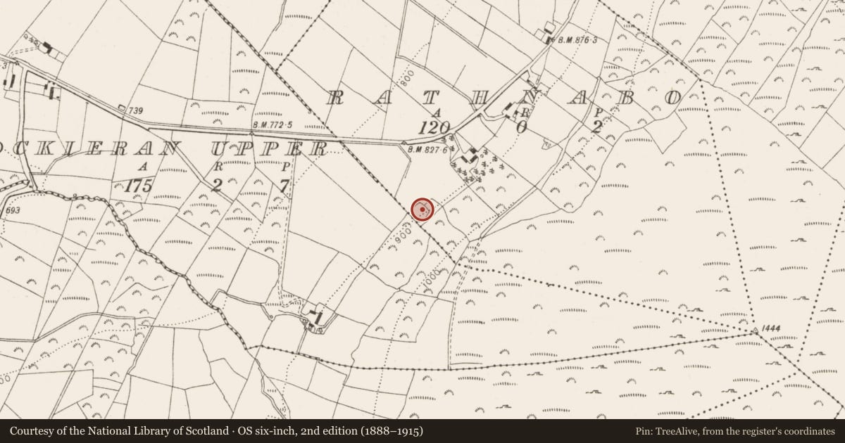 Ordnance Survey six-inch map, 2nd edition (1888–1915) covering the location of Ringfort - unclassified, Rathnabo, County Wicklow, with a pin at the register's coordinates