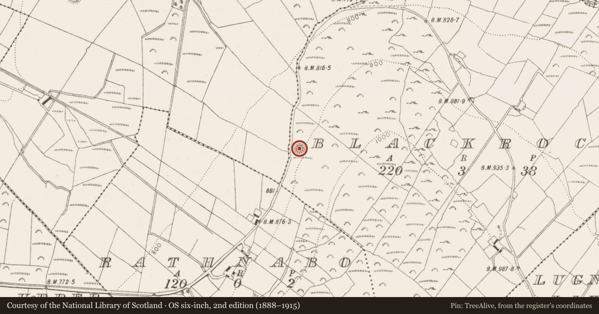 Ordnance Survey six-inch map, 2nd edition (1888–1915) covering the location of Ringfort - unclassified, Blackrock, County Wicklow, with a pin at the register's coordinates
