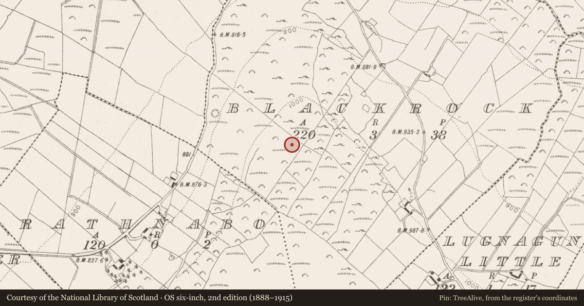 Ordnance Survey six-inch map, 2nd edition (1888–1915) covering the location of Megalithic tomb - wedge tomb, Blackrock, County Wicklow, with a pin at the register's coordinates