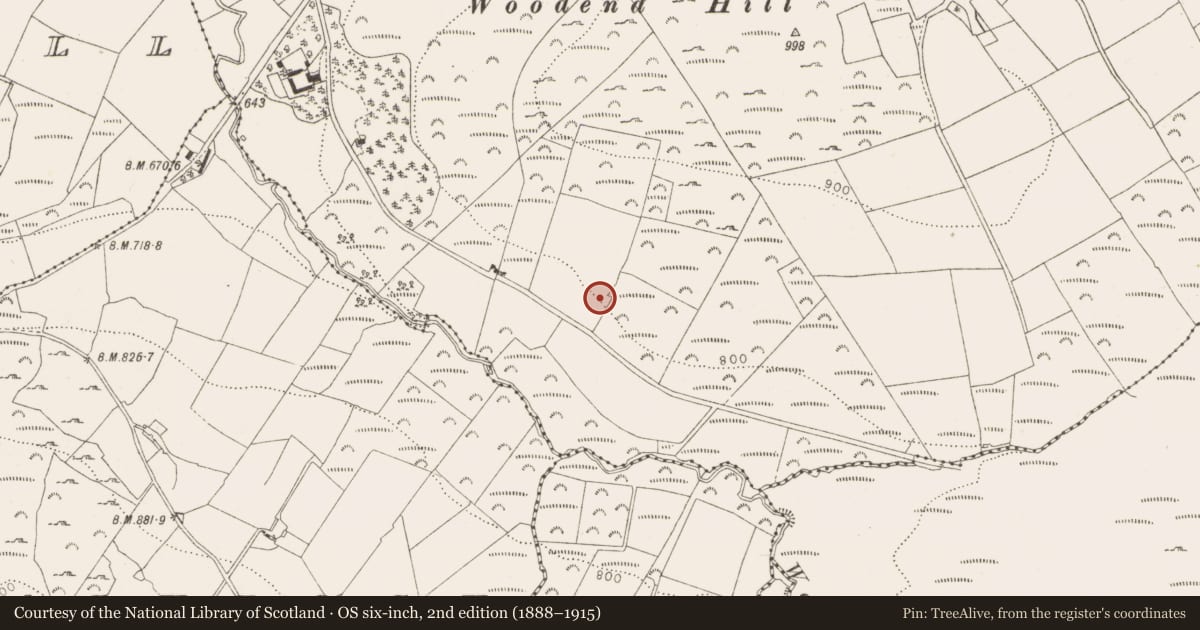 Ordnance Survey six-inch map, 2nd edition (1888–1915) covering the location of Cairn - ring-cairn, Oldcourt, County Wicklow, with a pin at the register's coordinates
